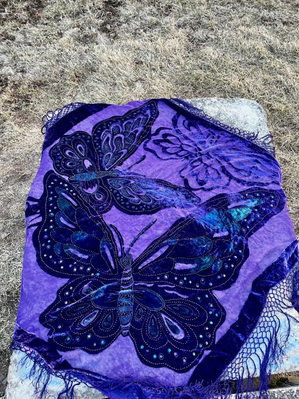 Chico’s Y2K Silk Blend Butterfly Scarf/Shawl Beaded Velvet Purple Boho Fairycore